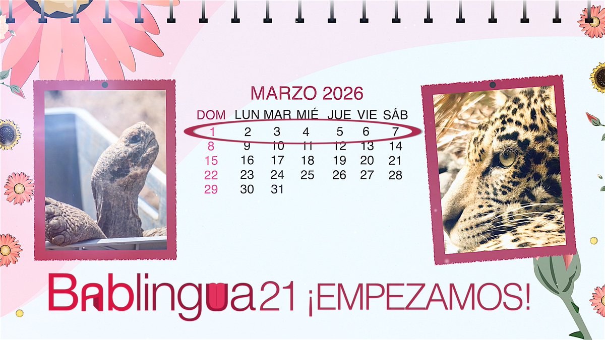 Bablingua tweet media