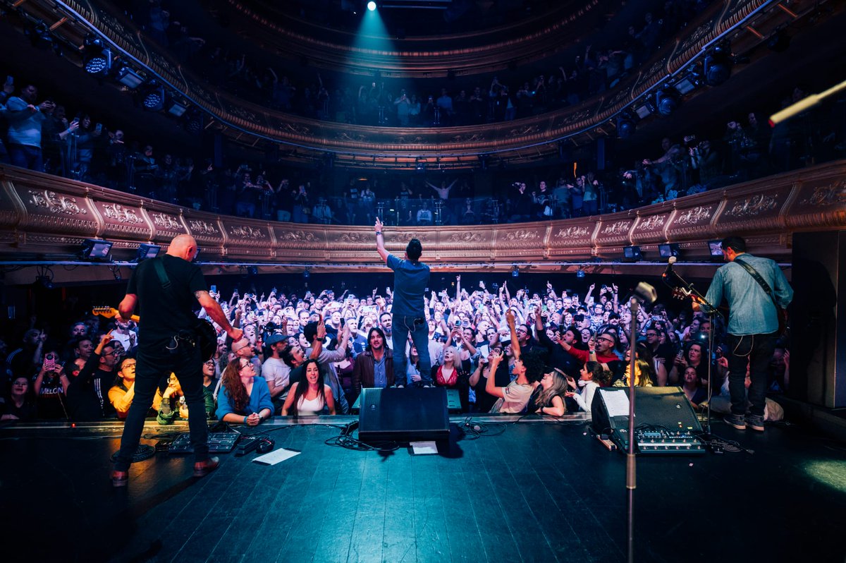 GBC News tweet media