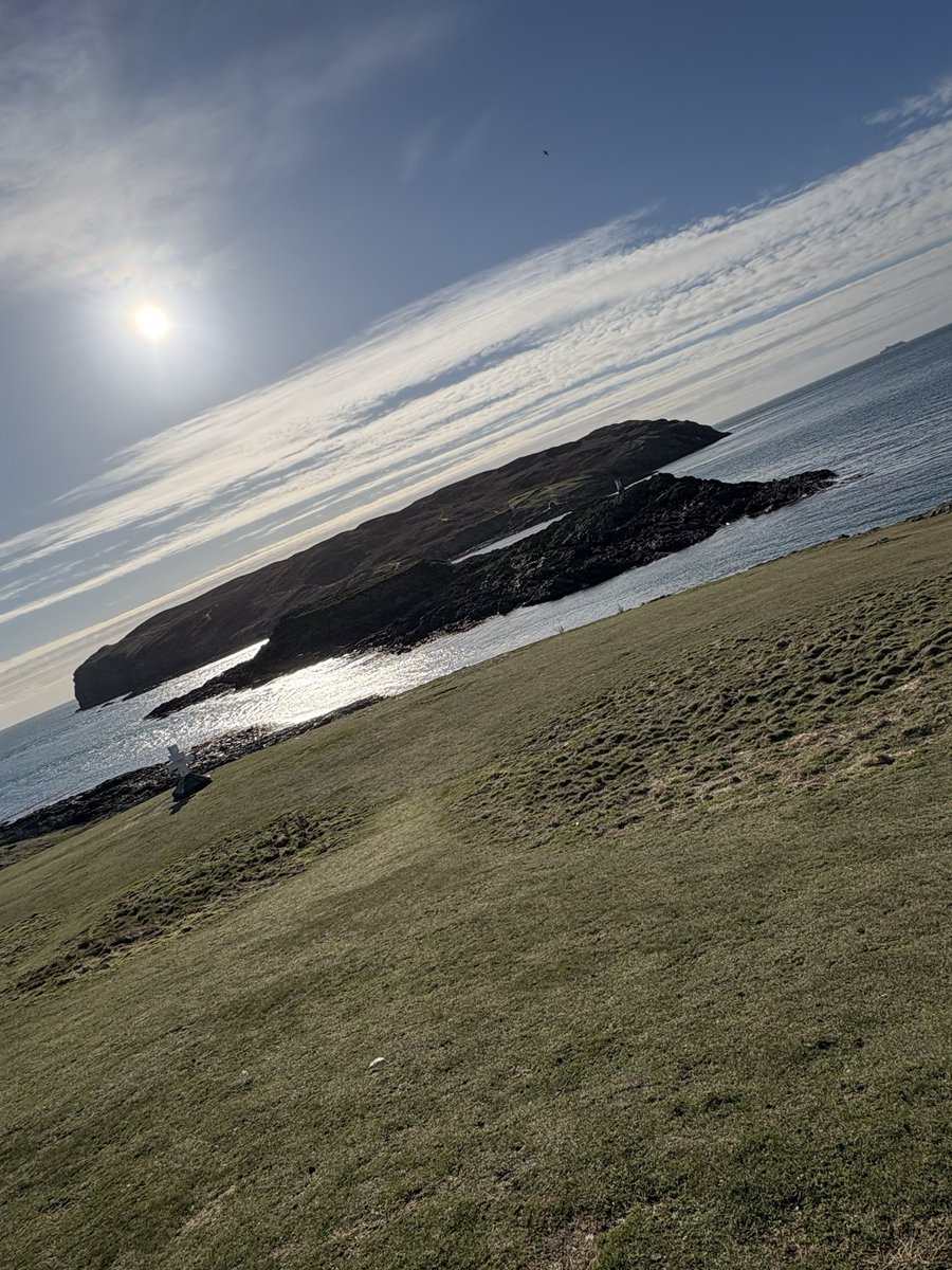 Sally Coward tweet media