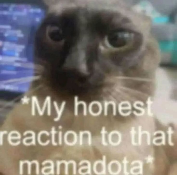 WarpedRubik (COMMISSION CLOSED) tweet media