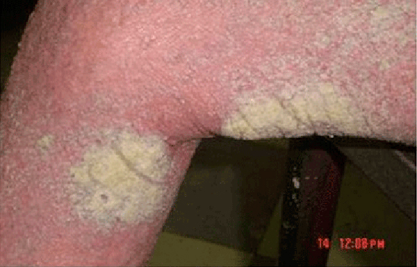 Region2.cl tweet media