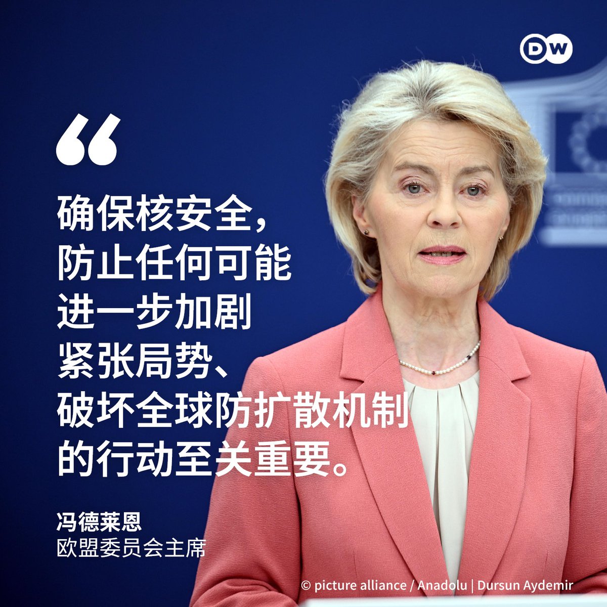 DW 中文- 德国之声 tweet media