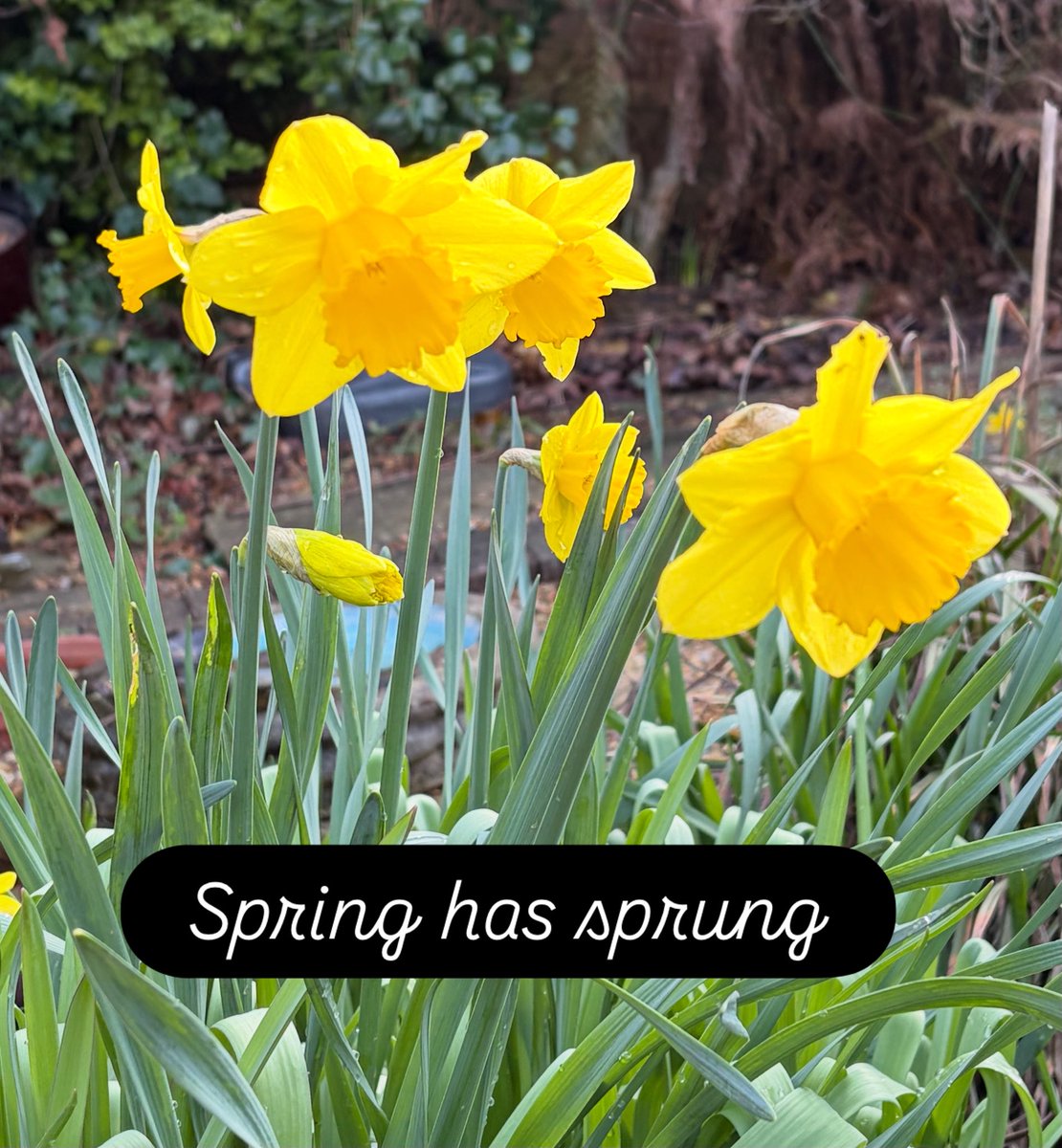 Tim O'Rahilly tweet media