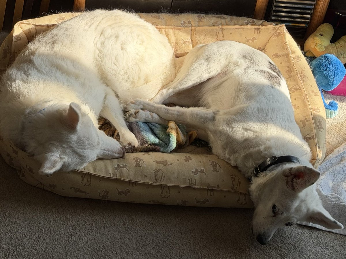 Jeff Christner tweet media