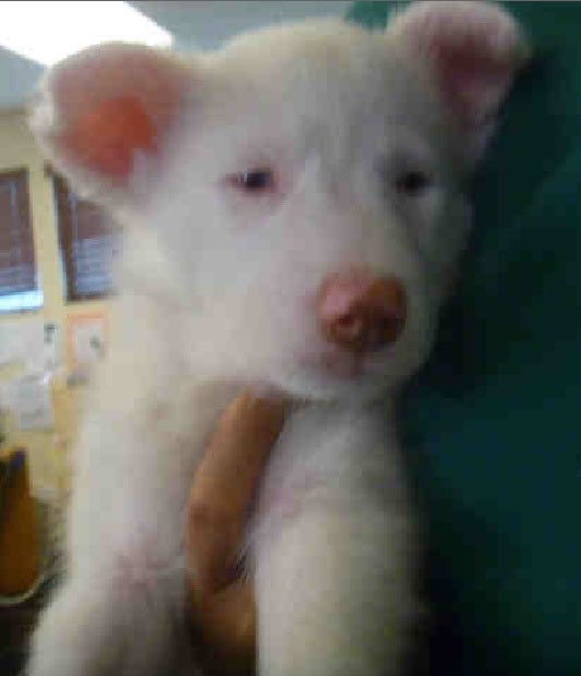 Jeff Christner tweet media