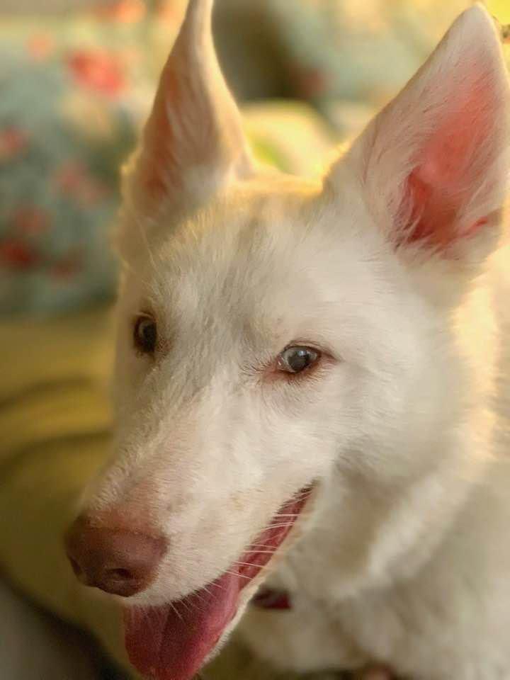 Jeff Christner tweet media