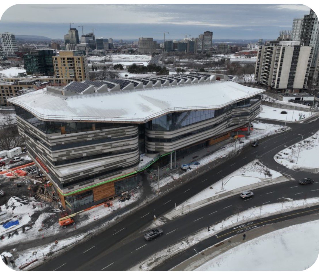 Danielle McGee tweet media