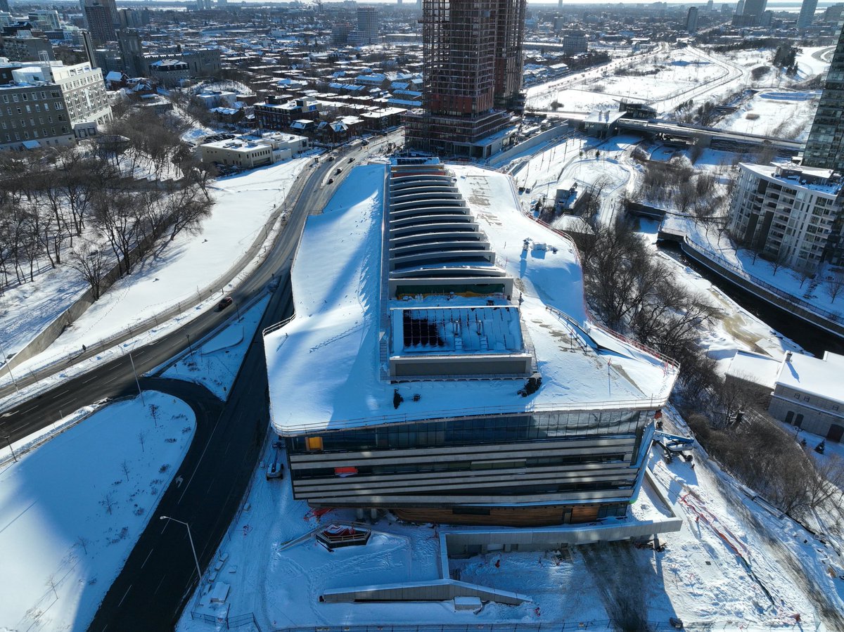 Danielle McGee tweet media