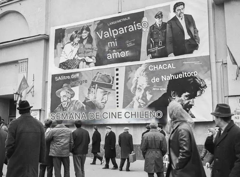 Dino Bozzi tweet media