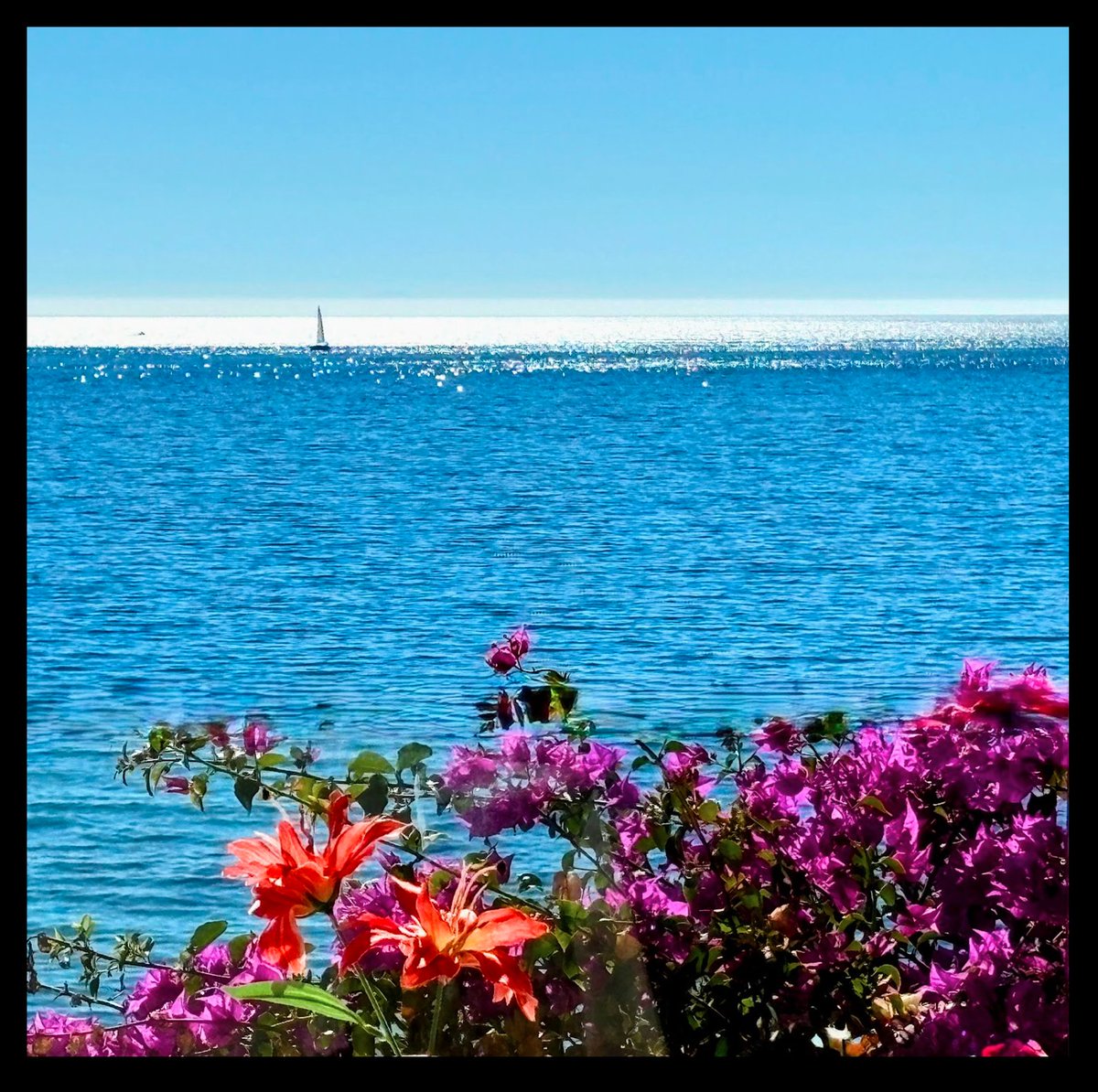 Victoria Márquez tweet media