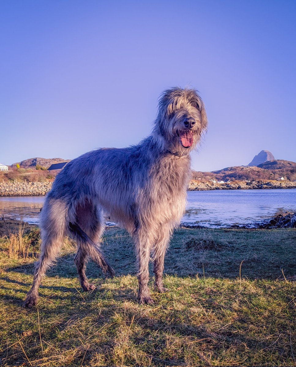 Stuart Klinke tweet media