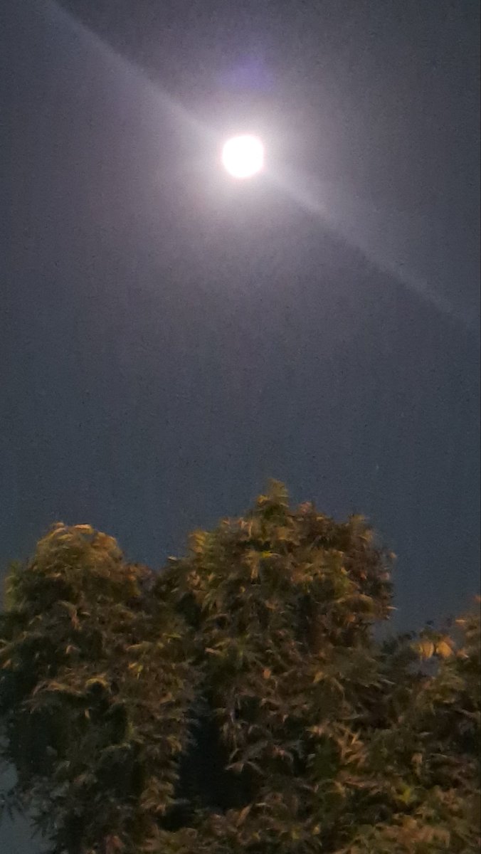 lightseekerusha's tweet image. Tonight feels made for moon gazing—
a quiet sky, soft light, and a moment of stillness.

#MoonGazing 
#NightSky 
#Moonlight 
#NightVibes 
#SkyLovers 
#QuietMoments 
#NatureDiary