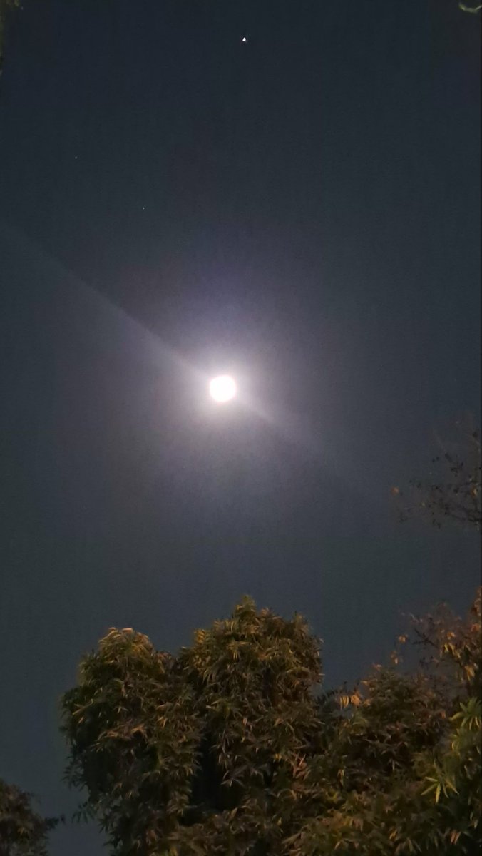 lightseekerusha's tweet image. Tonight feels made for moon gazing—
a quiet sky, soft light, and a moment of stillness.

#MoonGazing 
#NightSky 
#Moonlight 
#NightVibes 
#SkyLovers 
#QuietMoments 
#NatureDiary
