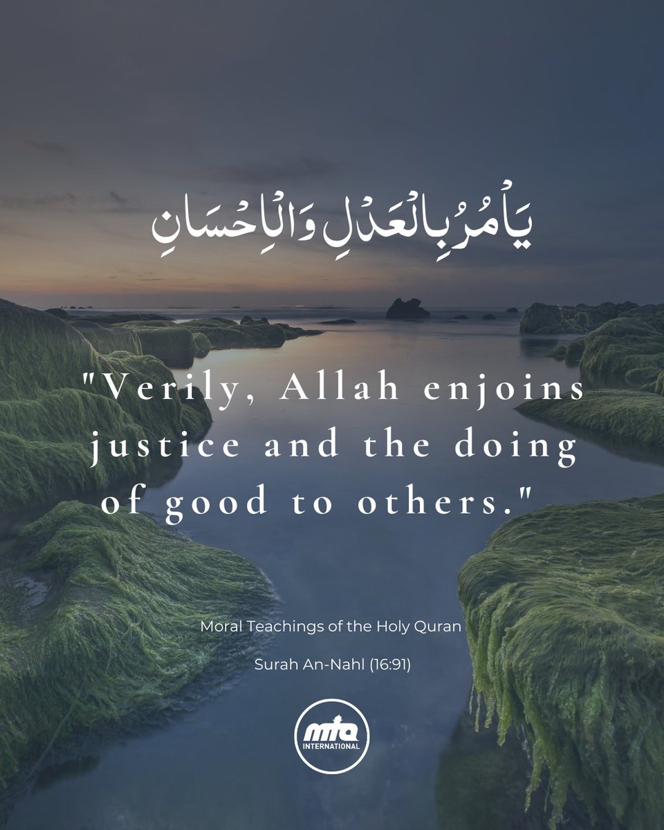 MTA International tweet media