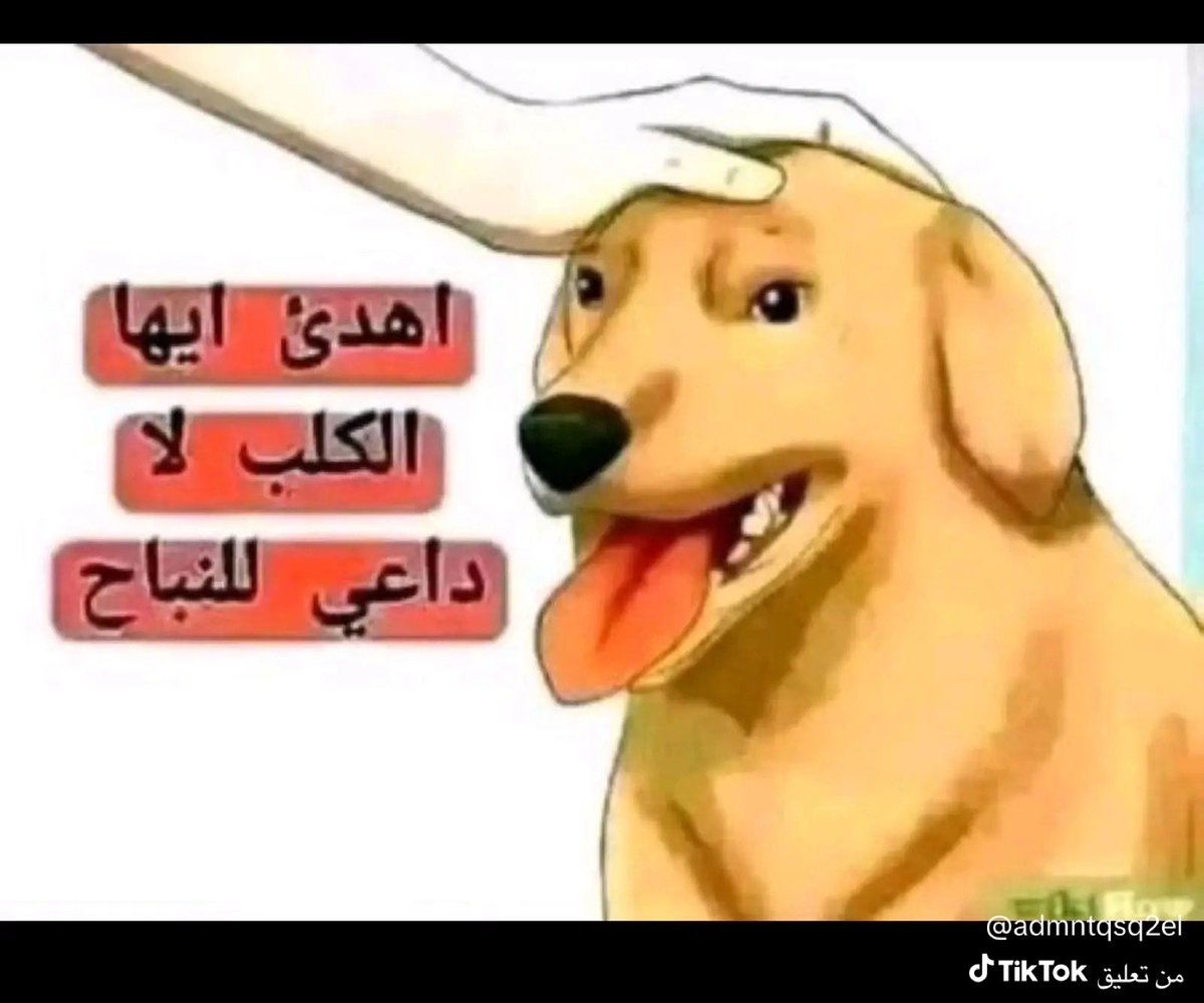 ٰسعدون الشمري tweet media