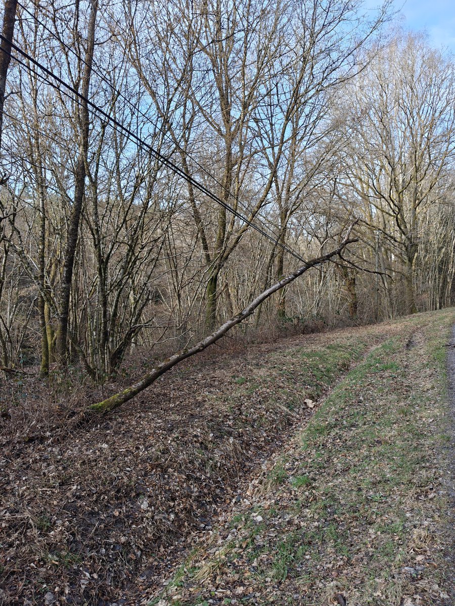 Guillaume tweet media