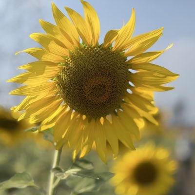 PermNiw's tweet photo. #NewProfilePic https://t.co/NBwn1rNzjD