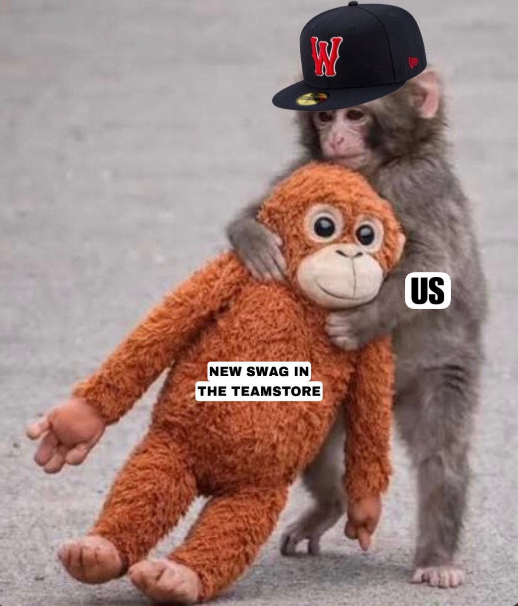 Our emotional support things 🐒