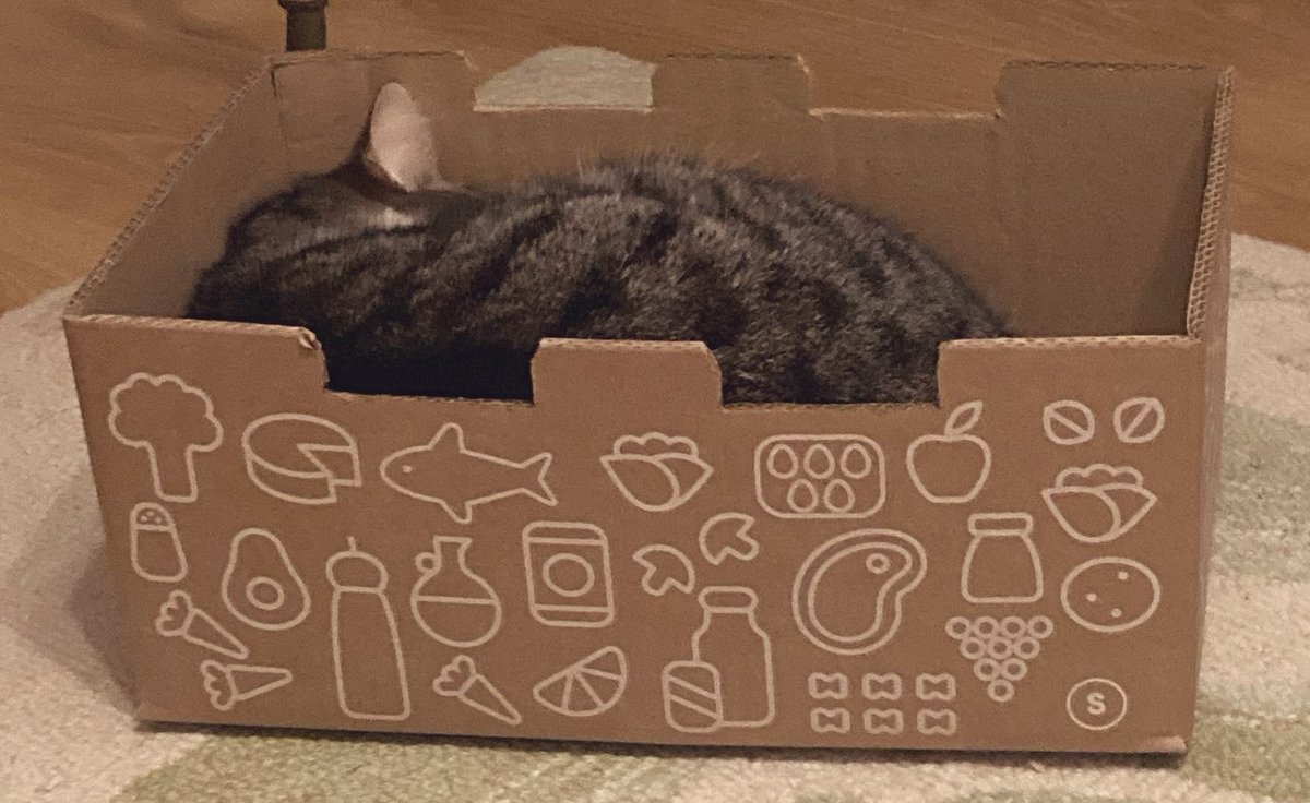 Danielle tweet media