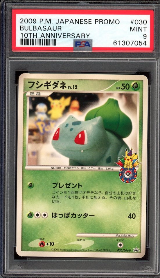 DachshundWizard 🧙‍♂️ tweet media