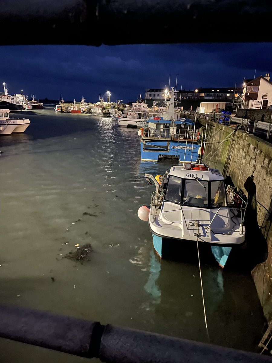 Early Running Karateka tweet media