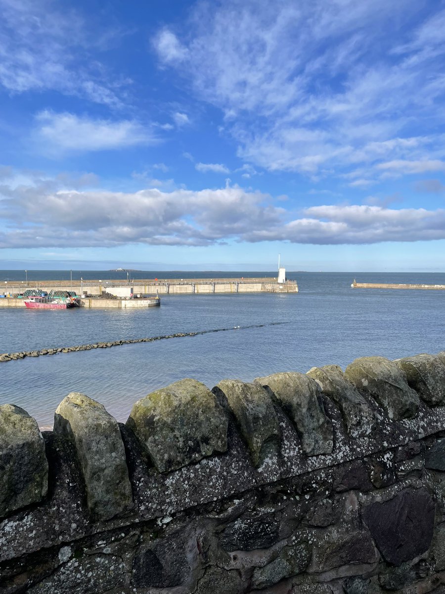 Early Running Karateka tweet media