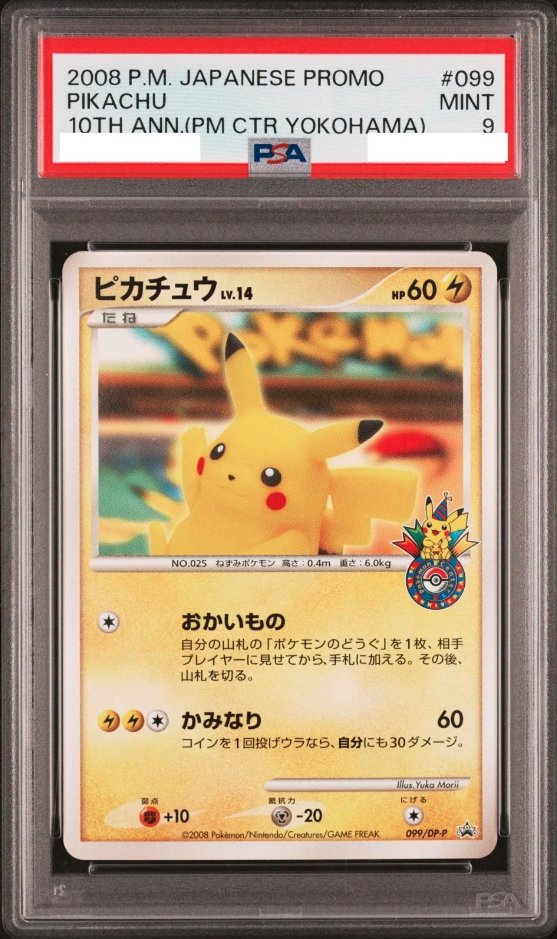 DachshundWizard 🧙‍♂️ tweet media