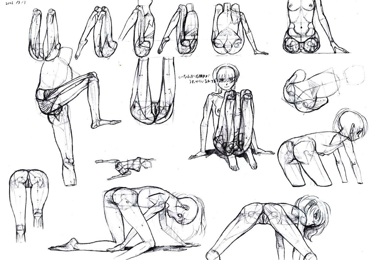 大腿筋膜張筋(tensor fasciae latae)と中臀筋(gluteus medius)の上前腸骨棘周辺のシルエットへの影響についてあれこれ 