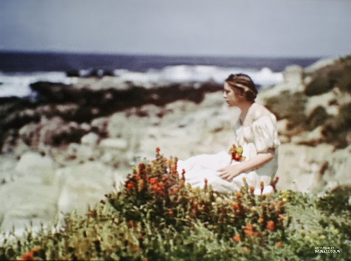 BabelColour tweet media