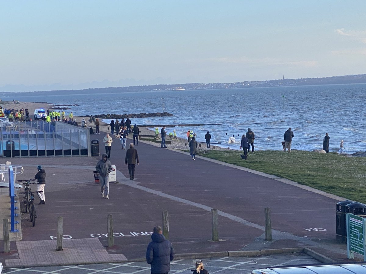 Gregory Simpson tweet media