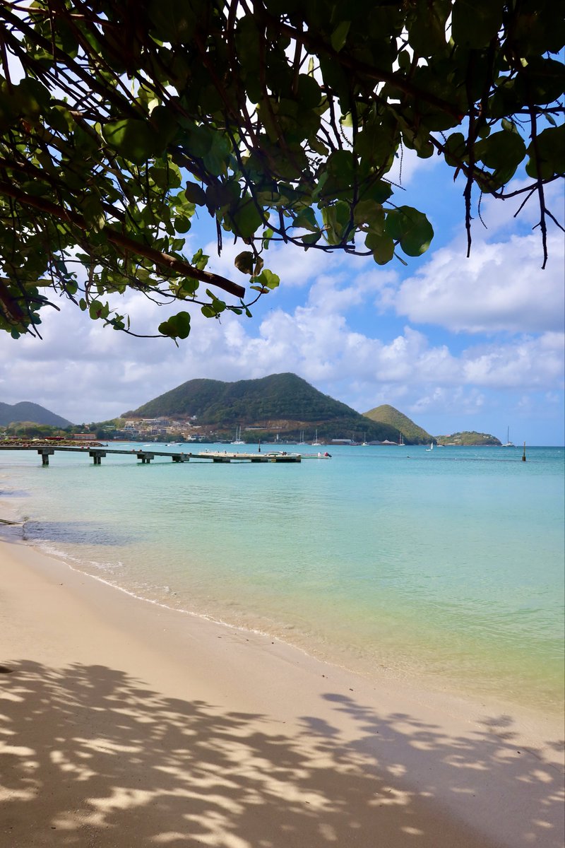 Princess Ana ♡ tweet media