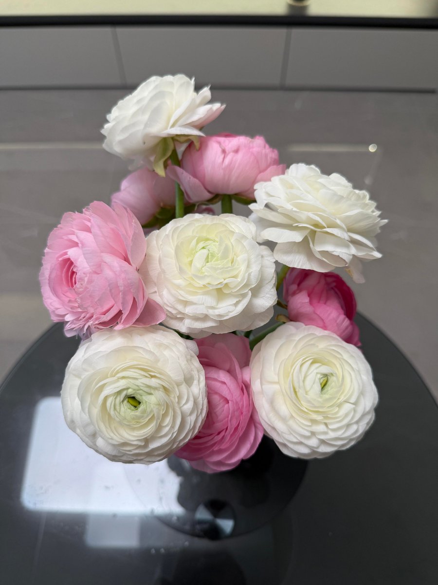 Andrewsotiws's tweet photo. Let your heart be a garden of kindness https://t.co/AxWbGuZeg2