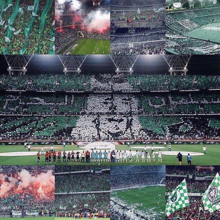 معقل الملوك tweet media