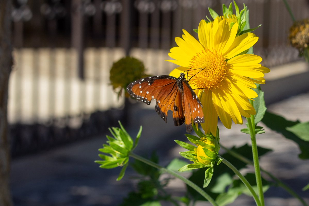 Buenos días ☀️

Ya andamos con la pila bien puesta este sábado 😎 ¿Cómo van iniciando el día? ✨

📸 Mike Acosta