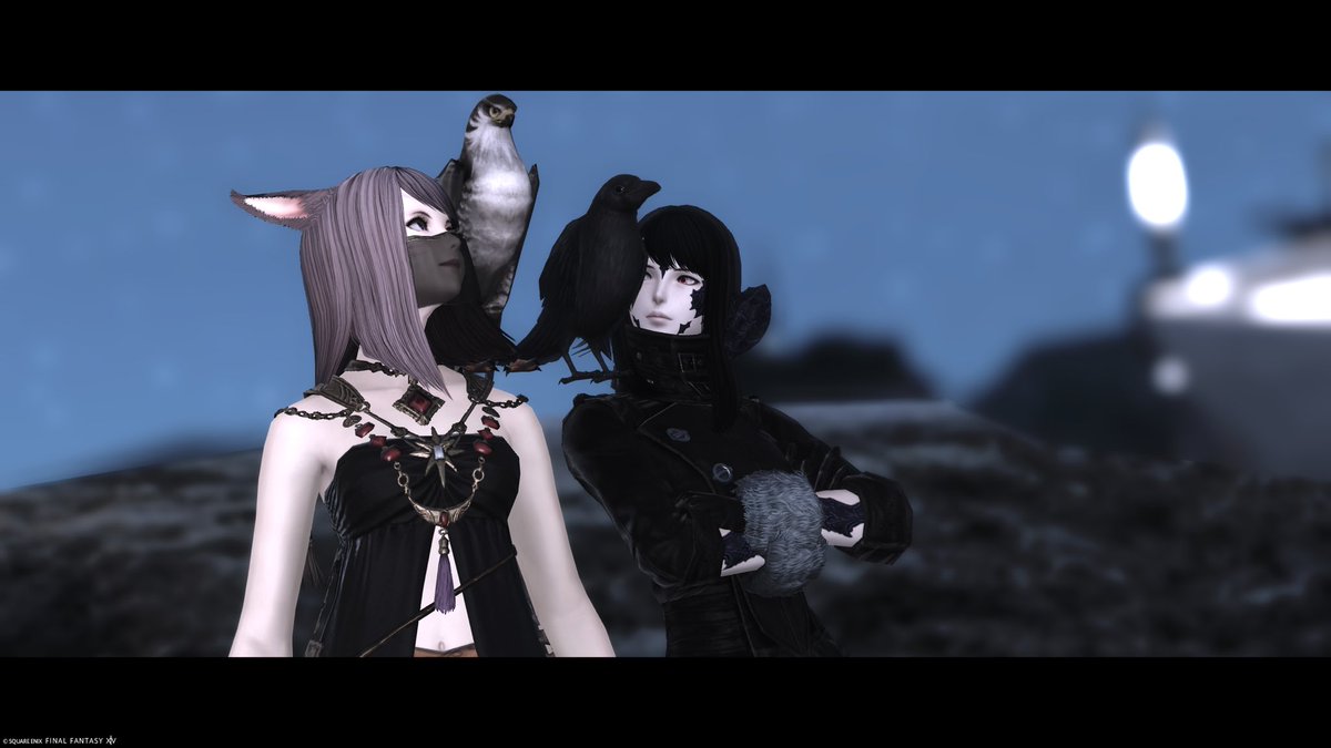 埜々 tweet media