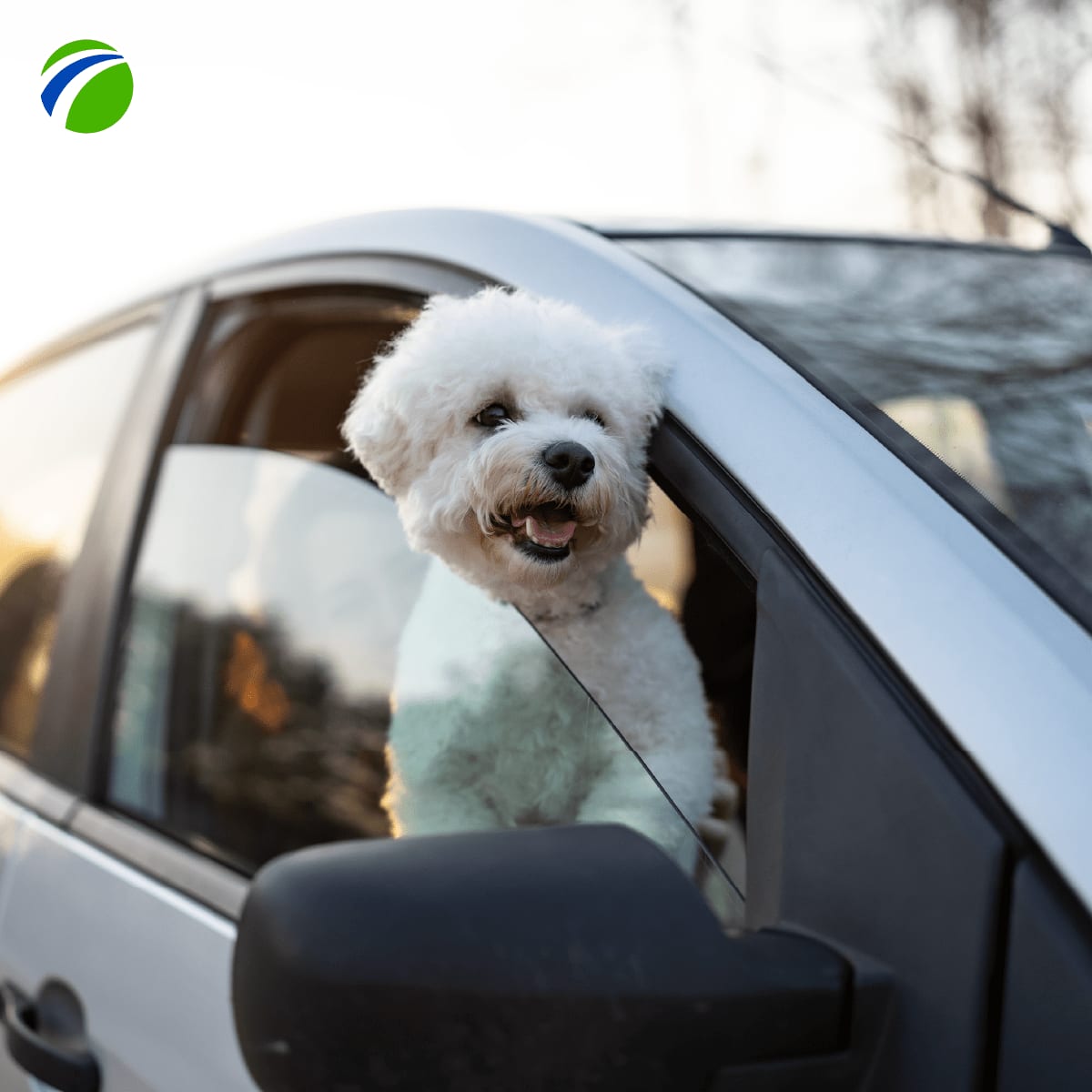 Freeway Insurance tweet media