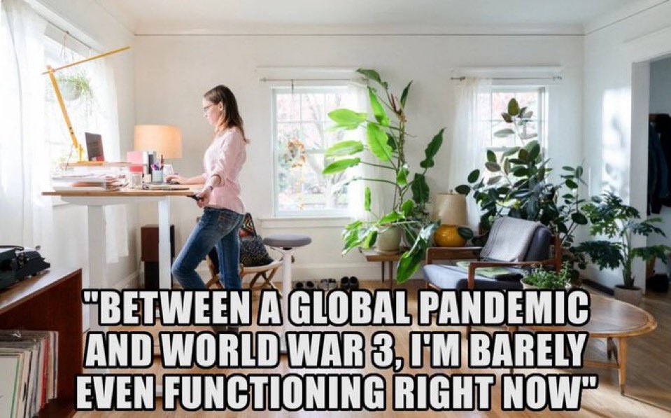 Vjörk (@metamorphology) on Twitter photo 