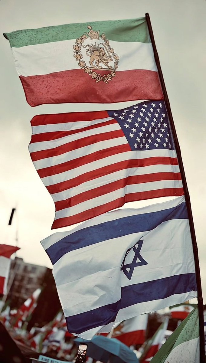 Mina 🇮🇷 tweet media