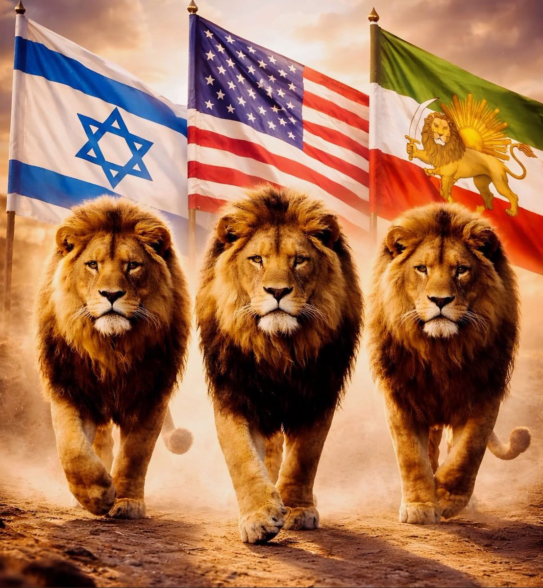 Dolly Snow tweet media