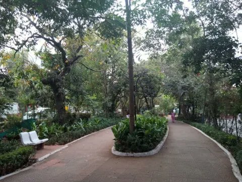 MumbaiMangroves's tweet photo. A 25-year-old community park in Versova is about to be destroyed. 348 trees. Cut. For the Coastal Road project. Here's how 3,244 ordinary people fought back and what happens next. #nanananiparkversova #mumbaicoastalroad 🧵 https://t.co/fGj5p6tLWA