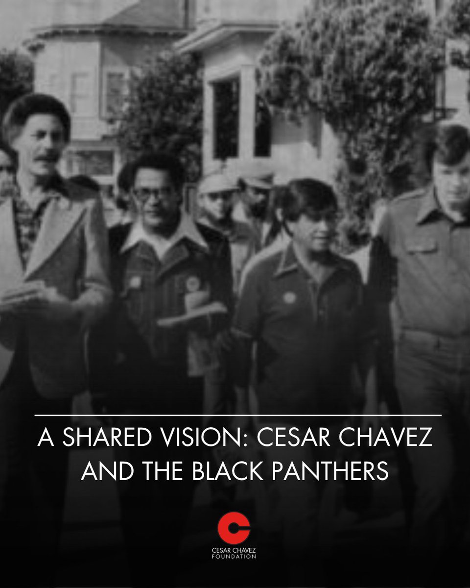 Chavez Foundation tweet media