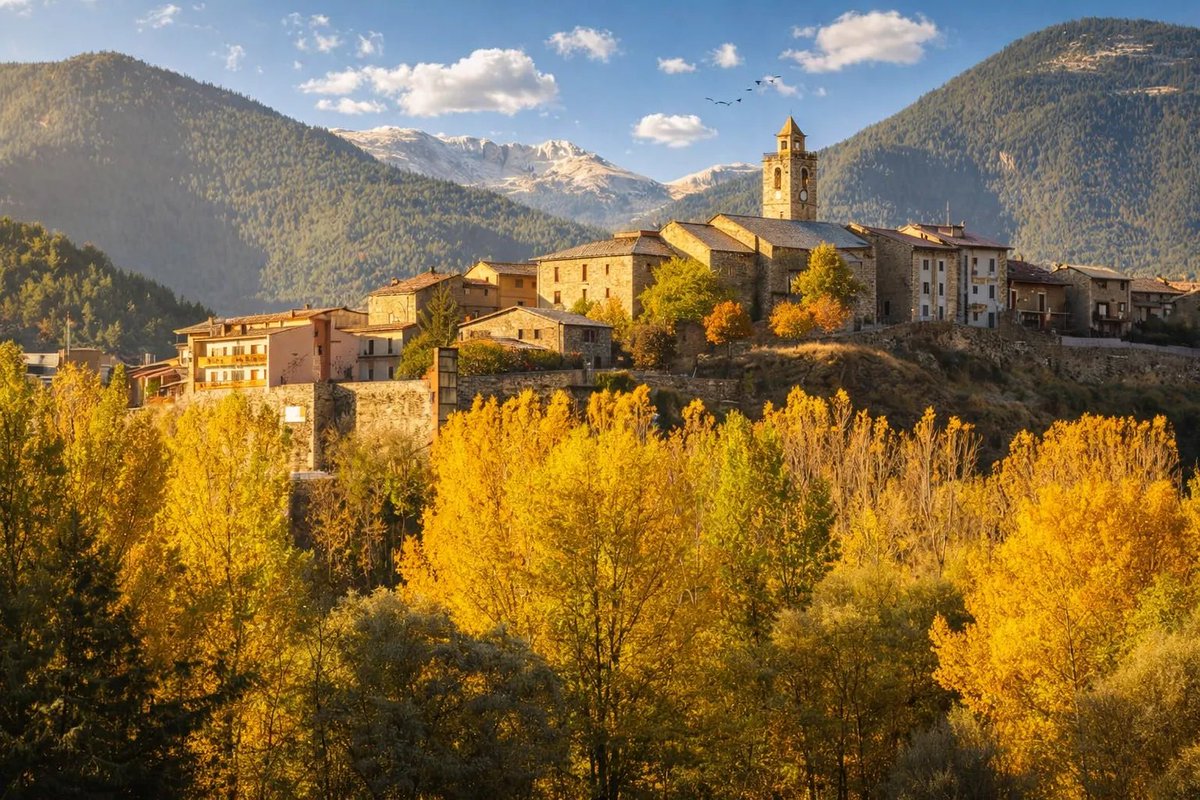 Sergi Boixader tweet media