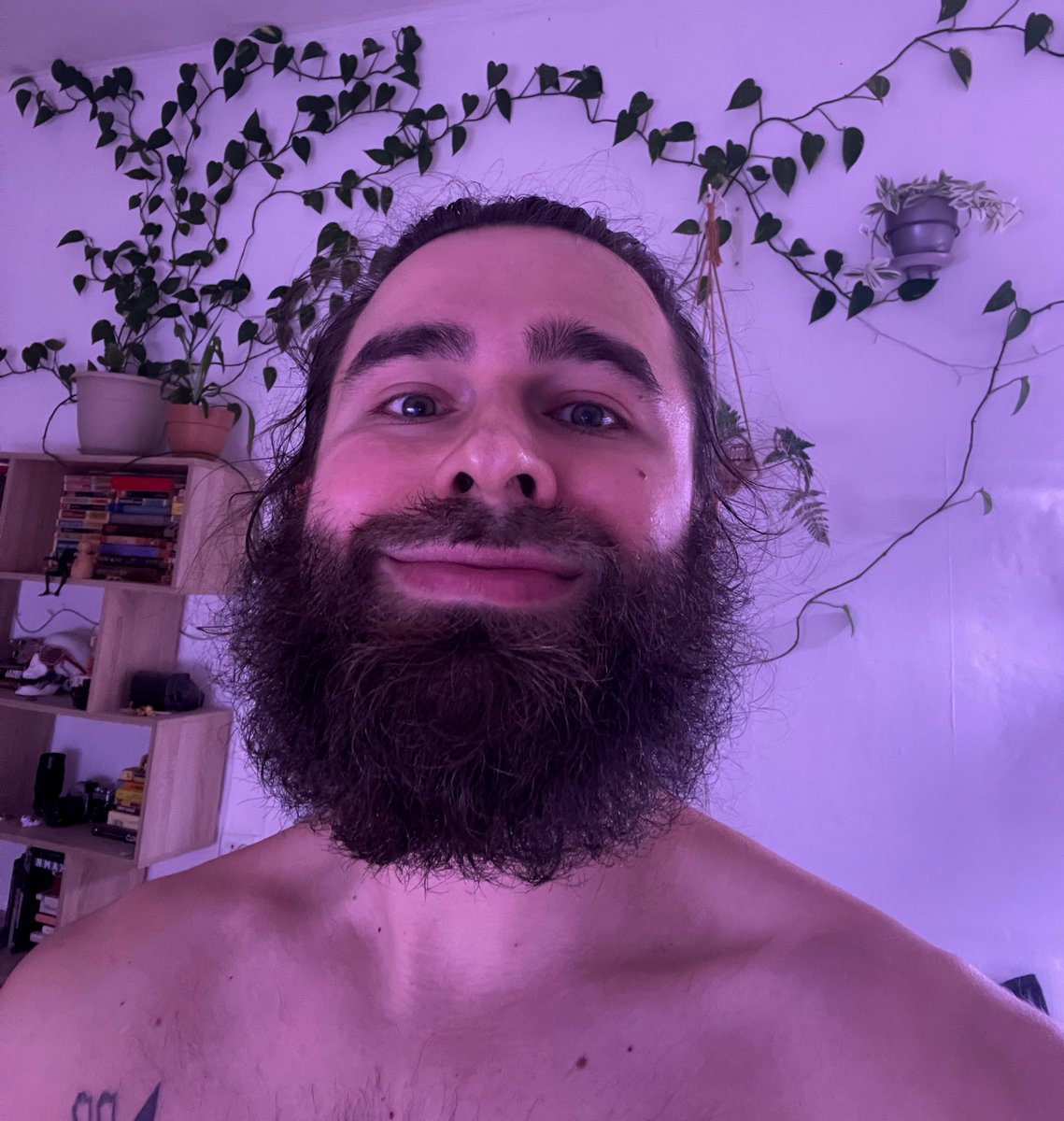 метакоммунист tweet media