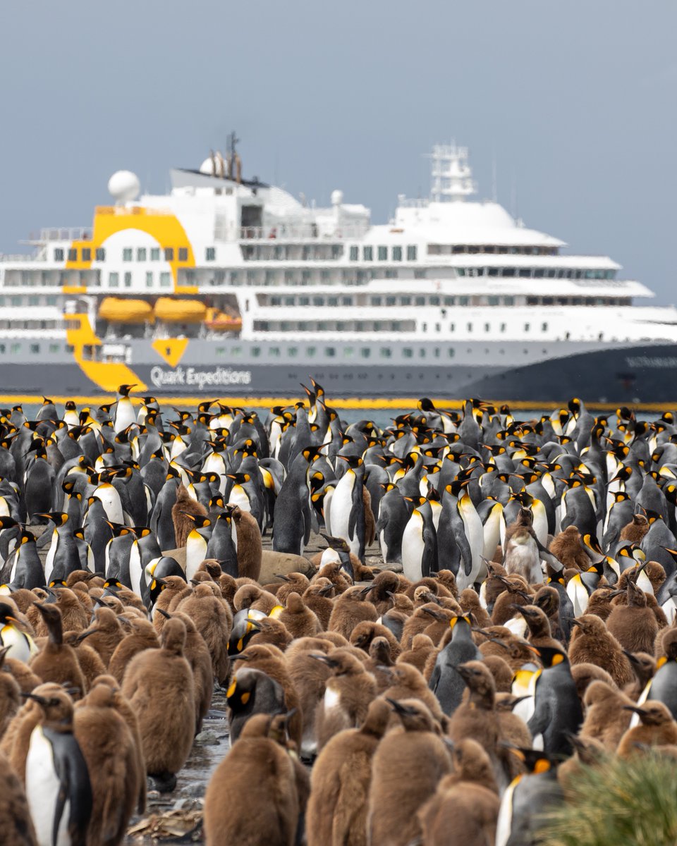 Quark Expeditions tweet media