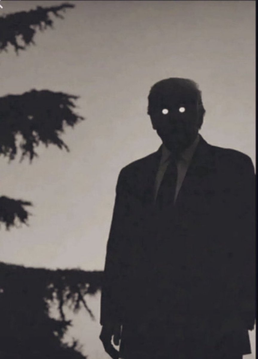 levi🇮🇷 tweet media