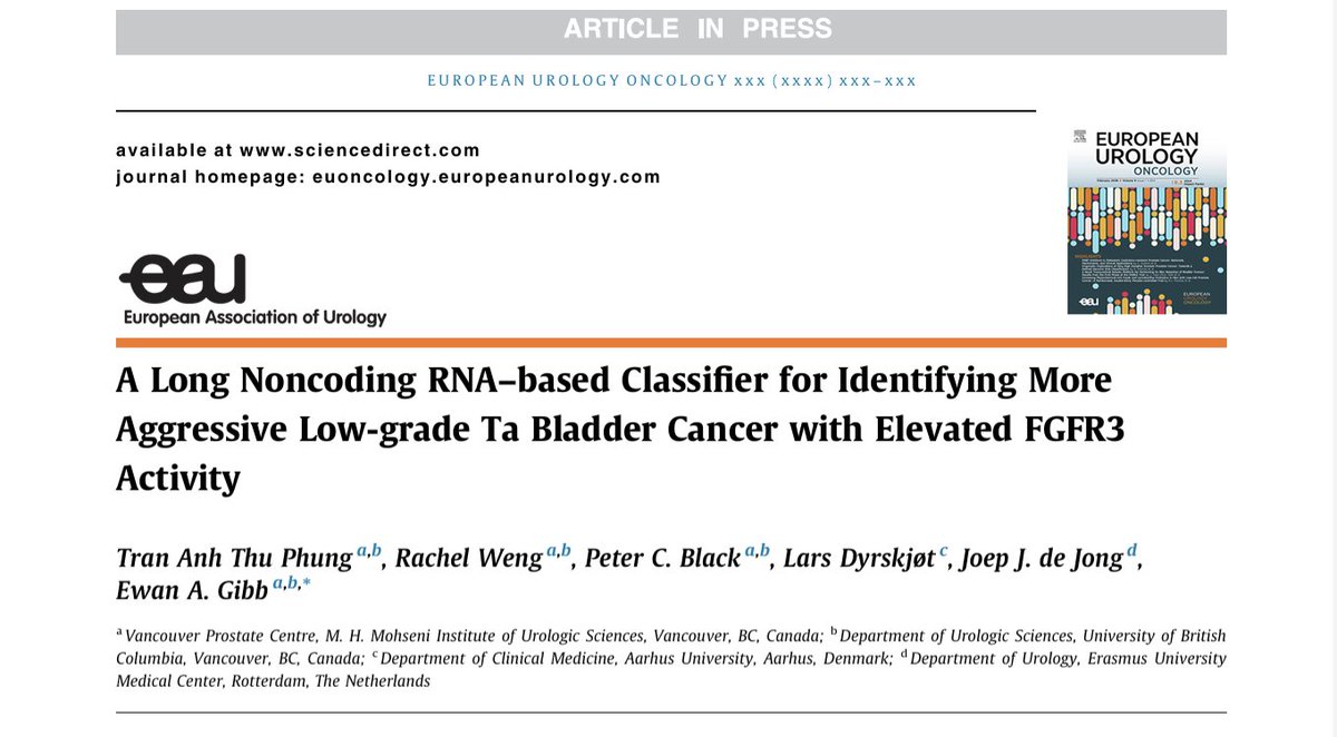 ewanagibb's tweet photo. Low-grade ≠ low risk.
In our new @EurUrolOncol paper, a novel single-sample classifier identifies a small subgroup of proliferative, FGFR3-high Ta tumors with much higher recurrence risk.
🔗 https://t.co/iSUuSxsMUQ

@JoepJdeJong @LDyrskjot @pcvblack @UroDocAsh @VanProstateCtr https://t.co/XUP2U0Wf99