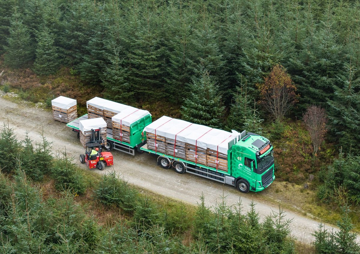 PanelWood&SSurface tweet media