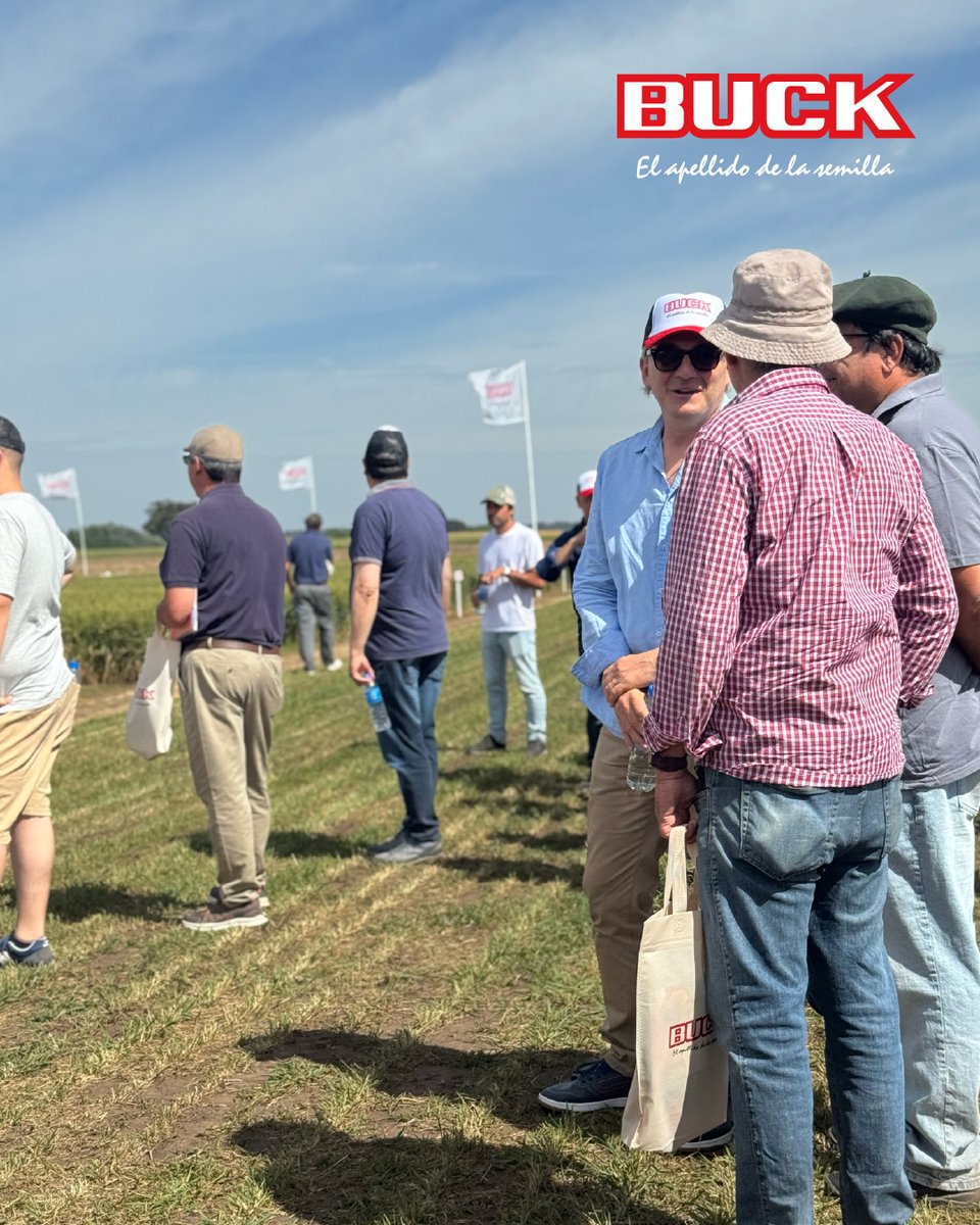 Buck Semillas tweet media