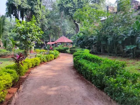 MumbaiMangroves's tweet photo. A 25-year-old community park in Versova is about to be destroyed. 348 trees. Cut. For the Coastal Road project. Here's how 3,244 ordinary people fought back and what happens next. #nanananiparkversova #mumbaicoastalroad 🧵 https://t.co/fGj5p6tLWA