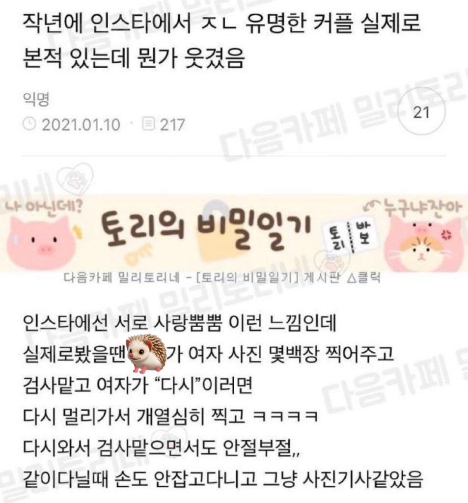 도치야 tweet media